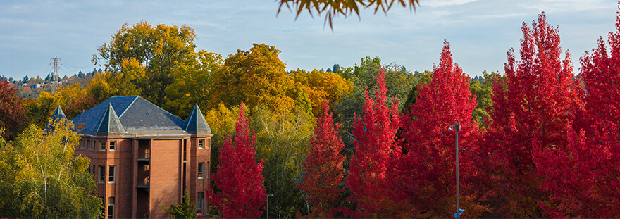 Alexander Hall in the fall with bright red trees