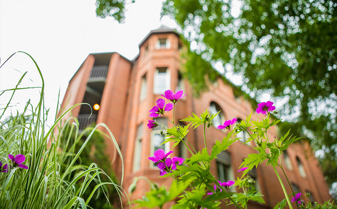 An image of Alexander Hall with flowers in the foreground