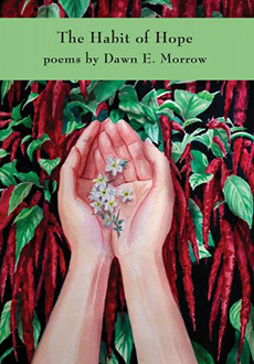 The Habit of Hope: poems by Dawn E. Morrow cover
