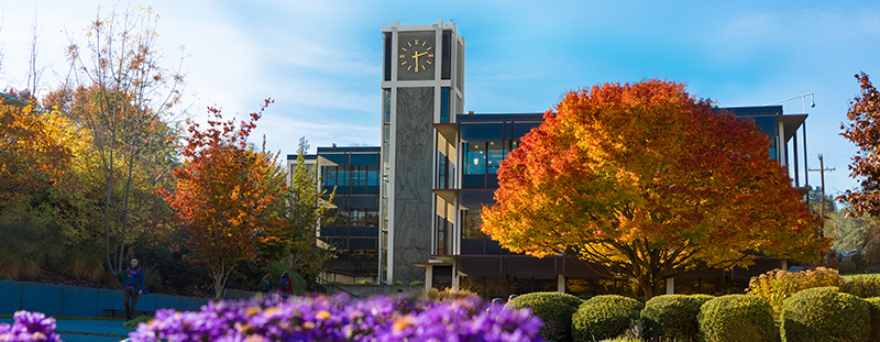 Demaray Hall in the fall, with purple flowers in the foreground