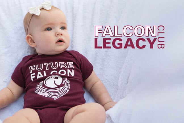 Falcon Legacy graph