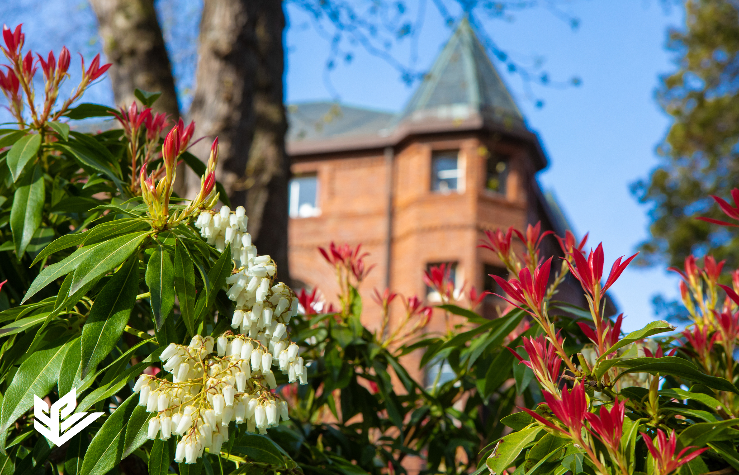 A campus image with summer foliage in the foreground and historic Alexander and Adelaide Hall in the background at Seattle Pacific University