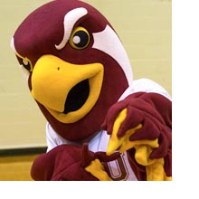 Talon the Falcon wants YOU to come to Homecoming and Parents Weekend