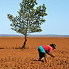 Healthy Moms, Babies, and Forests