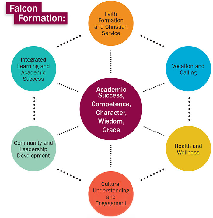 Falcon Formation
