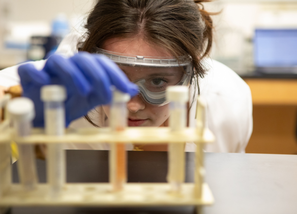 Student looking at test tubes in a lab.
