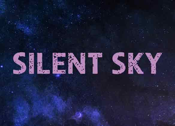 silent sky banner