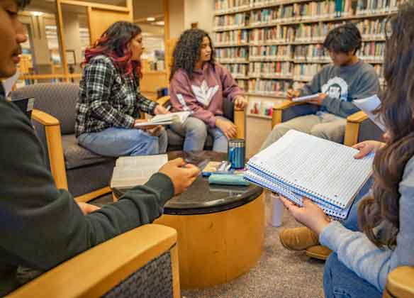 students studying in library