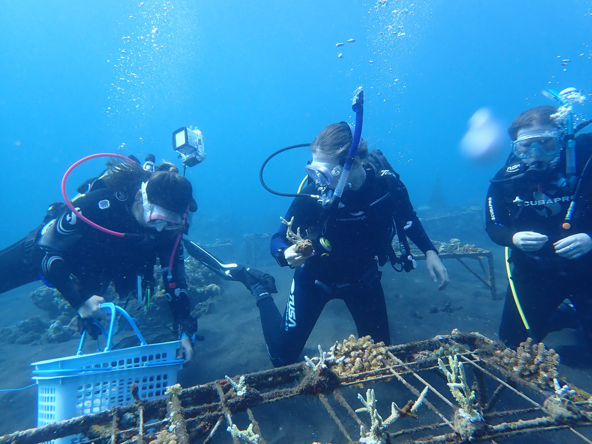 Three SPU students SCUBA diving in Bali, Indonesia