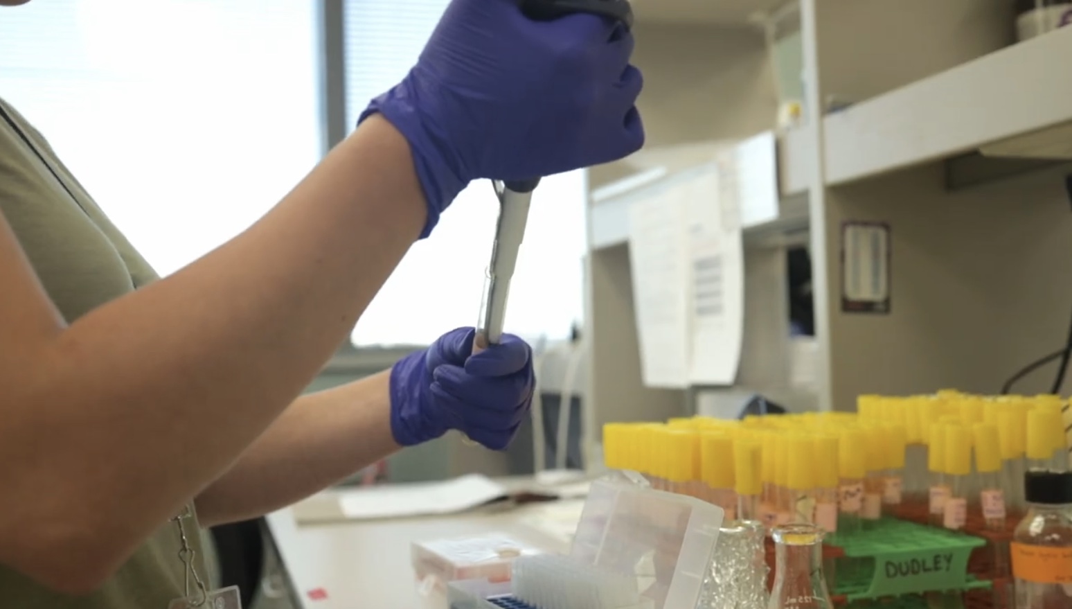 Rennie Dupar pipets samples into a test tube