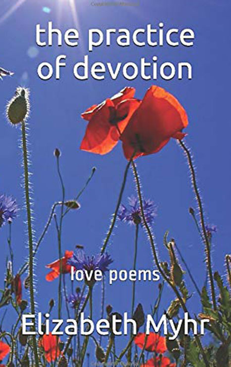 The Practice of Devotion by Elizabeth Myhr