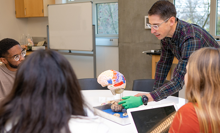 SPU Professor Phillip Baker explains the different parts of a brain to several students