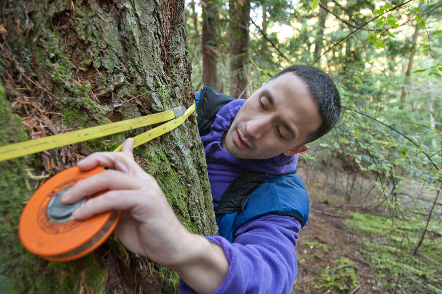 An SPU student gathers tree data on Blakely Island