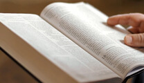 Lectio: Guided Bible Reading