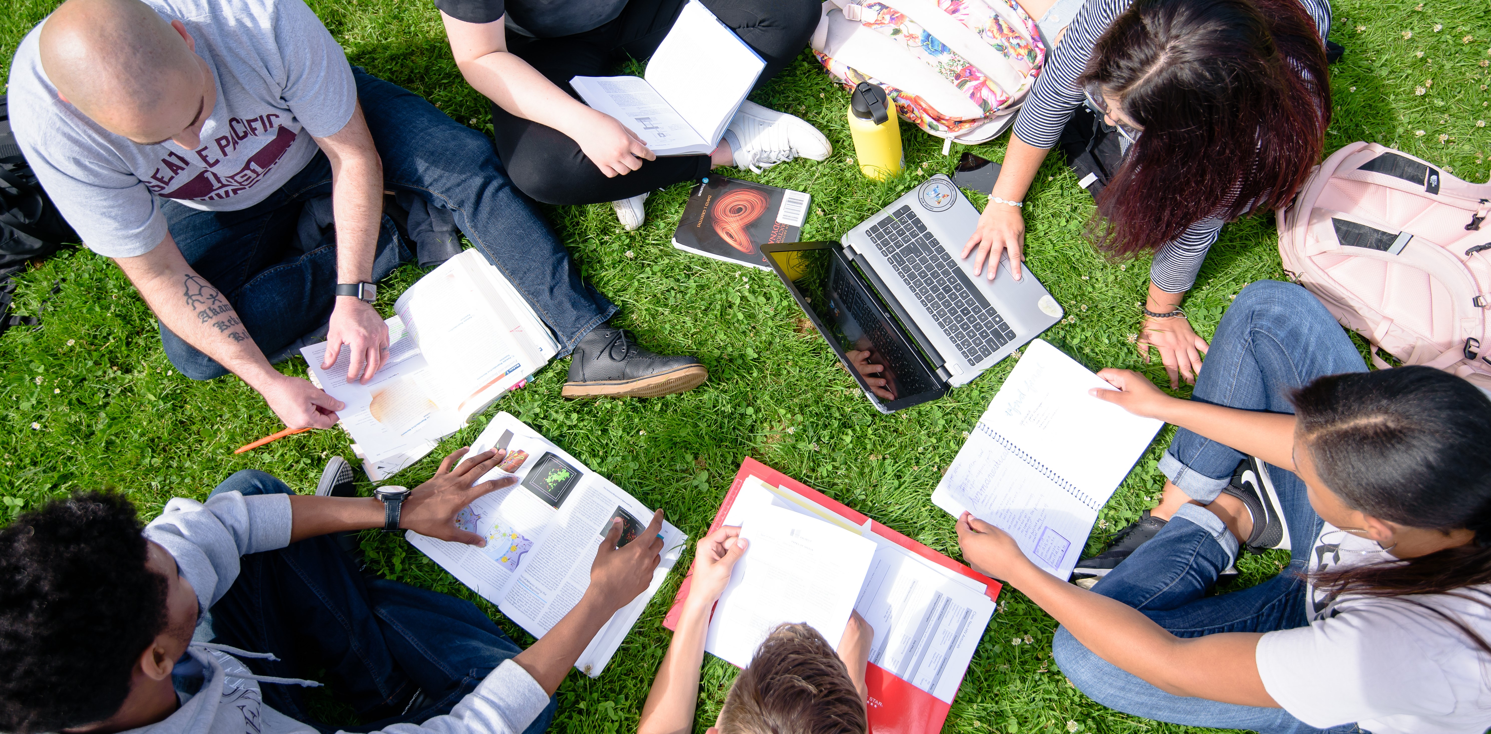 Six students sit in the grass studying together with their books and computers open in front of them.