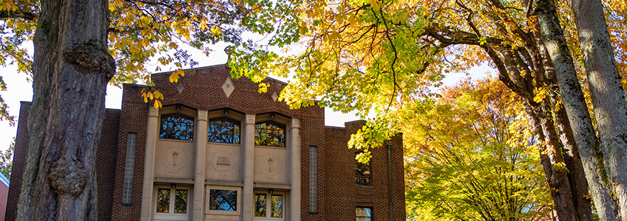 McKinley Hall in the fall with yellow leaves