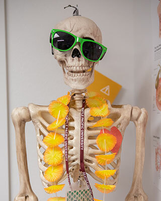 A skeleton model wearing sunglasses and a lei