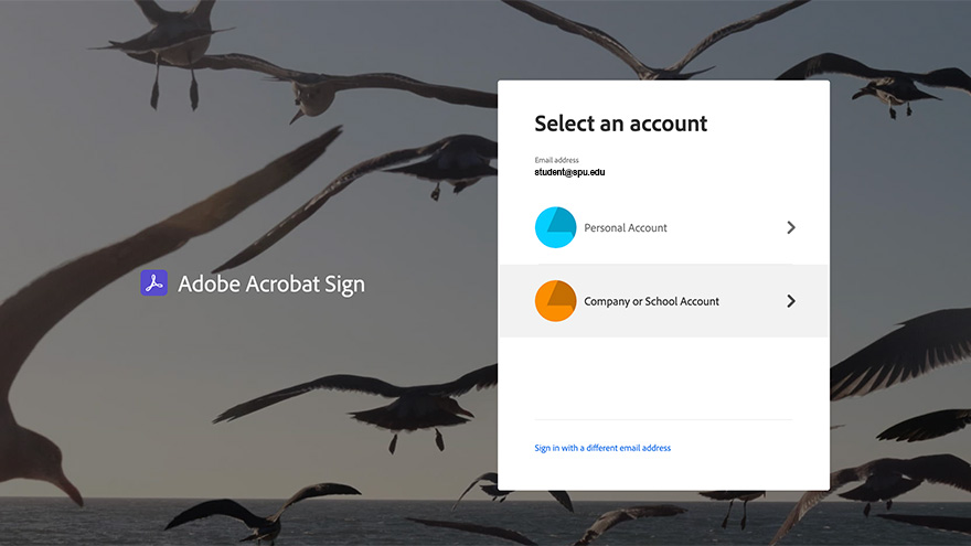 Adobe sign login screen, choosing company or school account