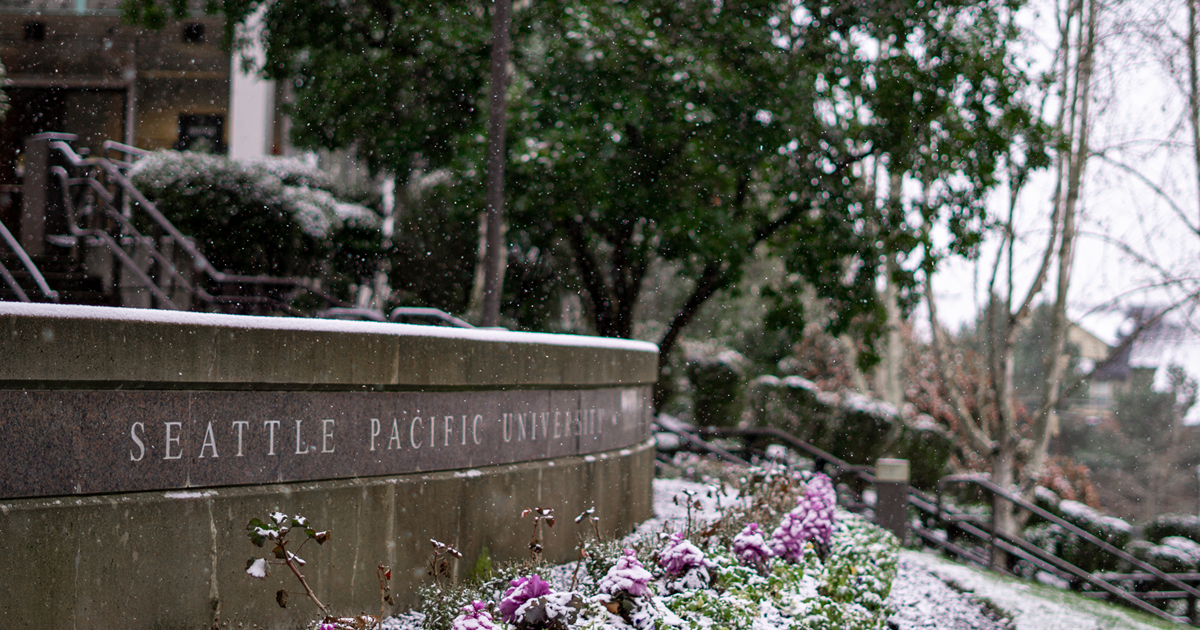 Martin Square in the winter, with purple crocuses poking out of a dusting of snow