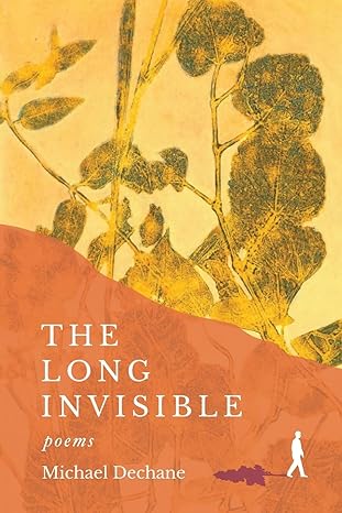 Cover of The Long Invisible by Michael Dechane