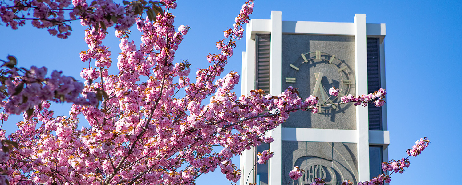 The clock tower on Seattle Pacific University's Demaray Hall in the spring.