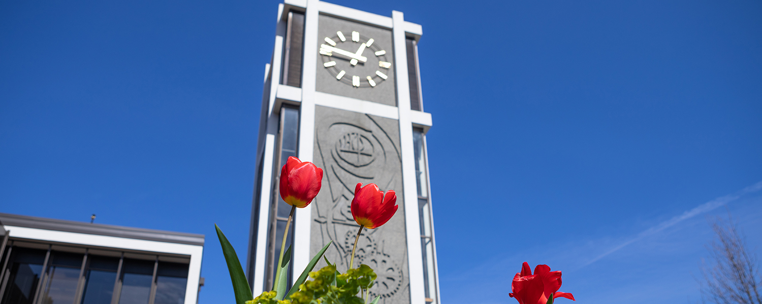 The Demaray Hall Clocktower with bright red tulips in the foreground 