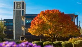 Demaray Hall and its clocktower sit behind a fall-colored tree and purple flowers.