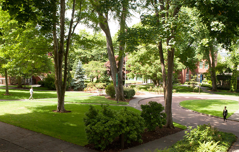 View of Tiffany Loop - 2013