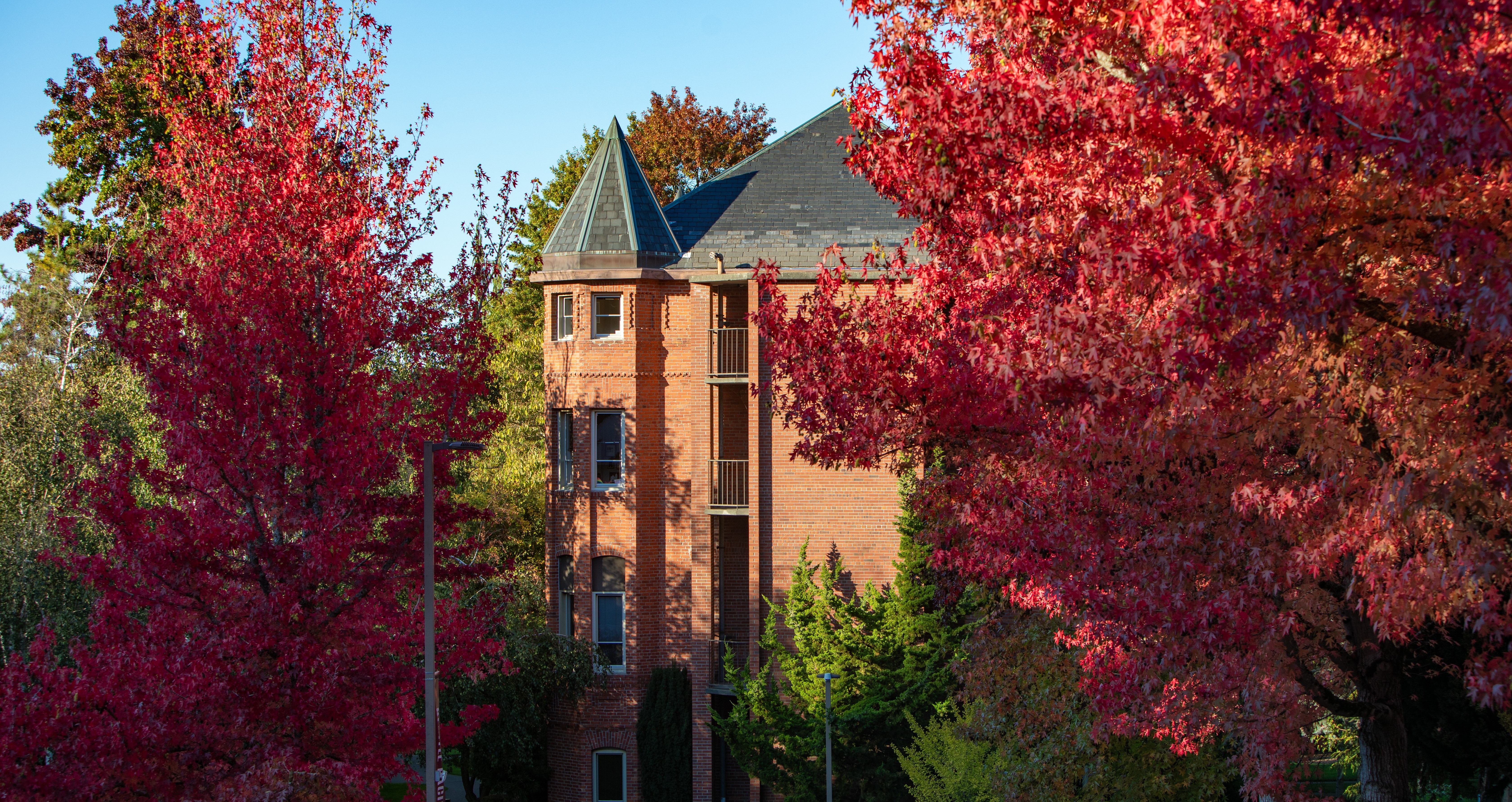 Seattle Pacific University's Alexander and Adelaide Hall surrounded by autumn foliage with a cloudless blue sky in the background