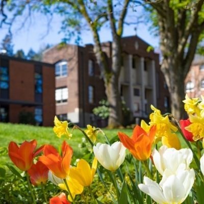 A view of McKinley Hall with colorful spring tulips in the foreground