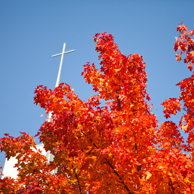 red fall leaves with white cross appearing from first free methodist church