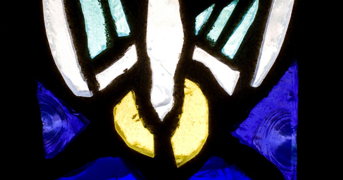 Stained glass image of a dove