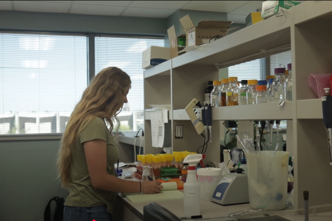Student works in a lab setting