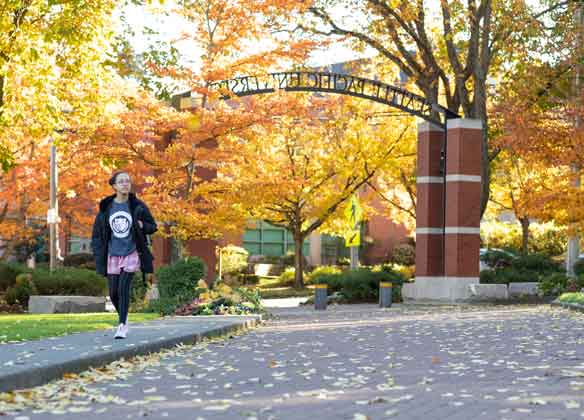 tiffany loop in fall