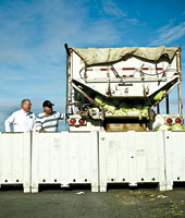 Wisdom's operation ships nearly a million pounds of cabbage each year to buyers, including a Japanese juice company.