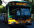 Seattle Bus