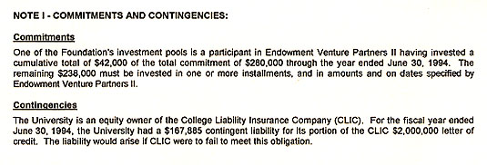 Graphic of Independent Auditor's Report Not Shown