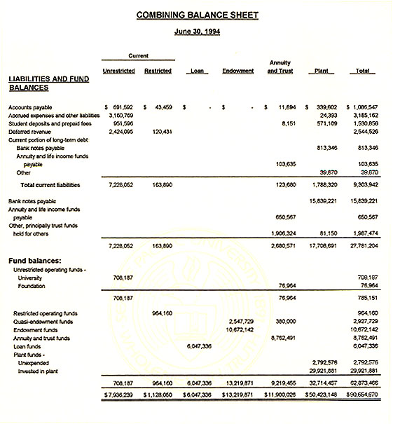 Graphic of Independent Auditor's Report Not Shown