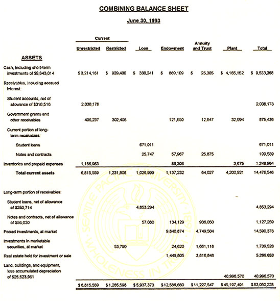 Graphic of Independent Auditor's Report Not Shown