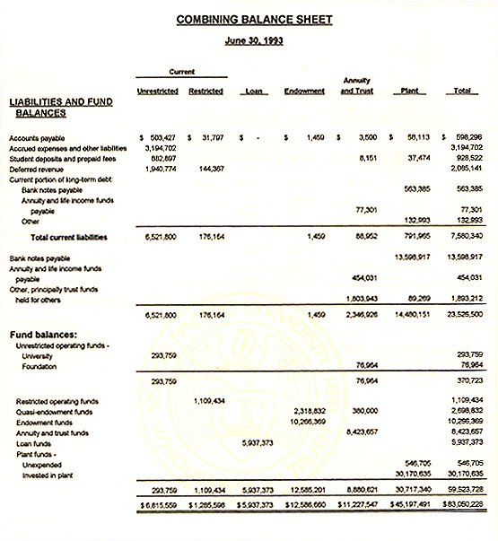 Graphic of Independent Auditor's Report Not Shown