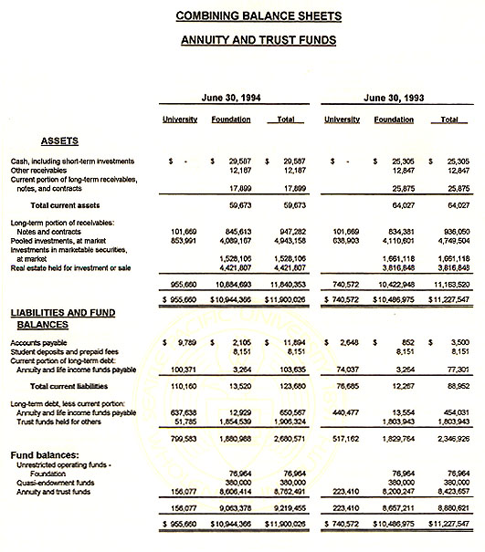 Graphic of Independent Auditor's Report Not Shown