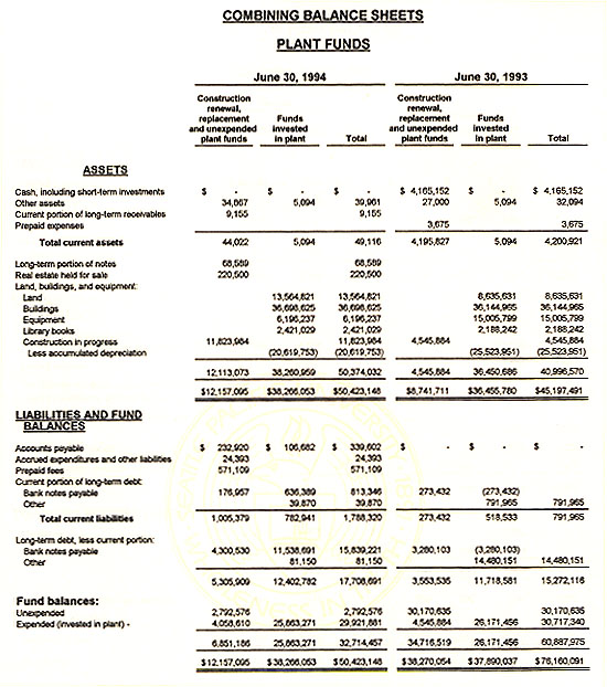 Graphic of Independent Auditor's Report Not Shown