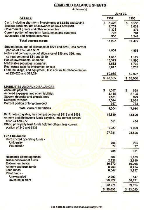 Graphic of Independent Auditor's Report Not Shown