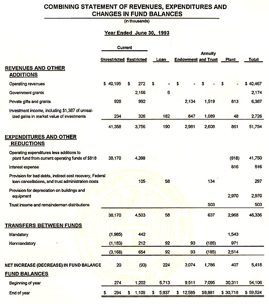 Graphic of Independent Auditor's Report Not Shown