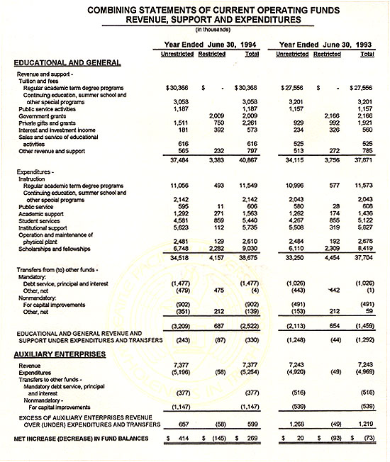Graphic of Independent Auditor's Report Not Shown