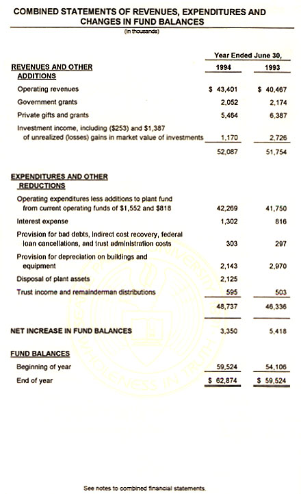 Graphic of Independent Auditor's Report Not Shown