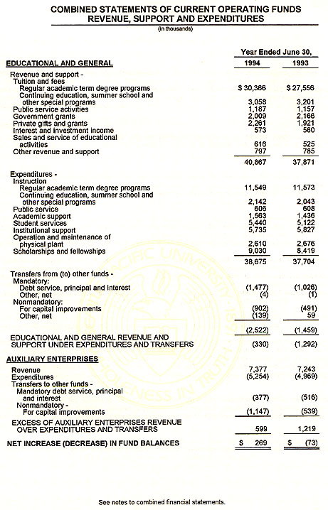 Graphic of Independent Auditor's Report Not Shown