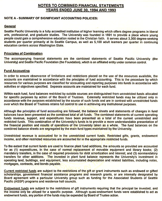 Graphic of Independent Auditor's Report Not Shown