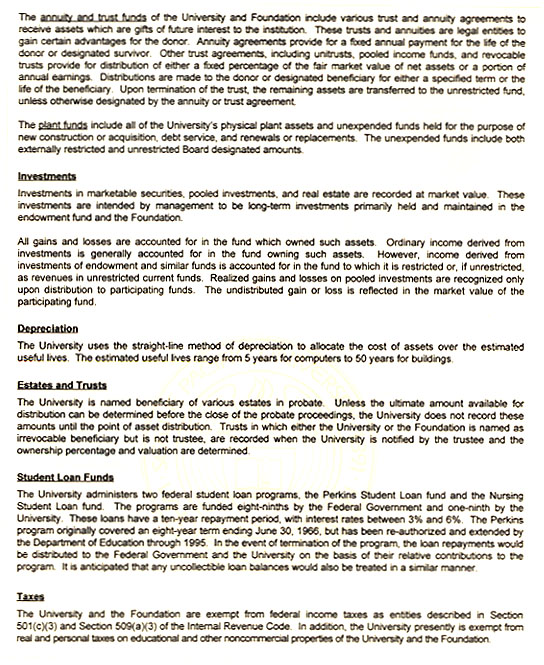 Graphic of Independent Auditor's Report Not Shown
