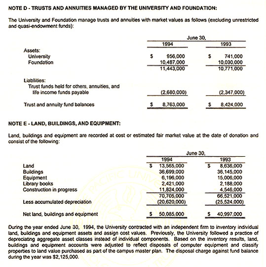 Graphic of Independent Auditor's Report Not Shown